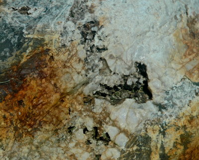 SHELBURNE 2015-7-13 249xgeol.JPG
