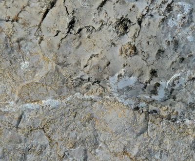 SHELBURNE 2015-9-21 72geol.jpg