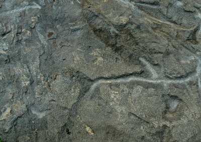 TUNBRIDGE 2008-6 243B geol.jpg