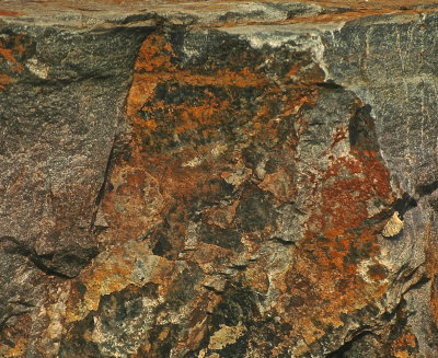 WILLISTON 2015-7-13 664geol.JPG