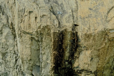 g10/15/766815/3/167351198.At5kX4XA.jpg