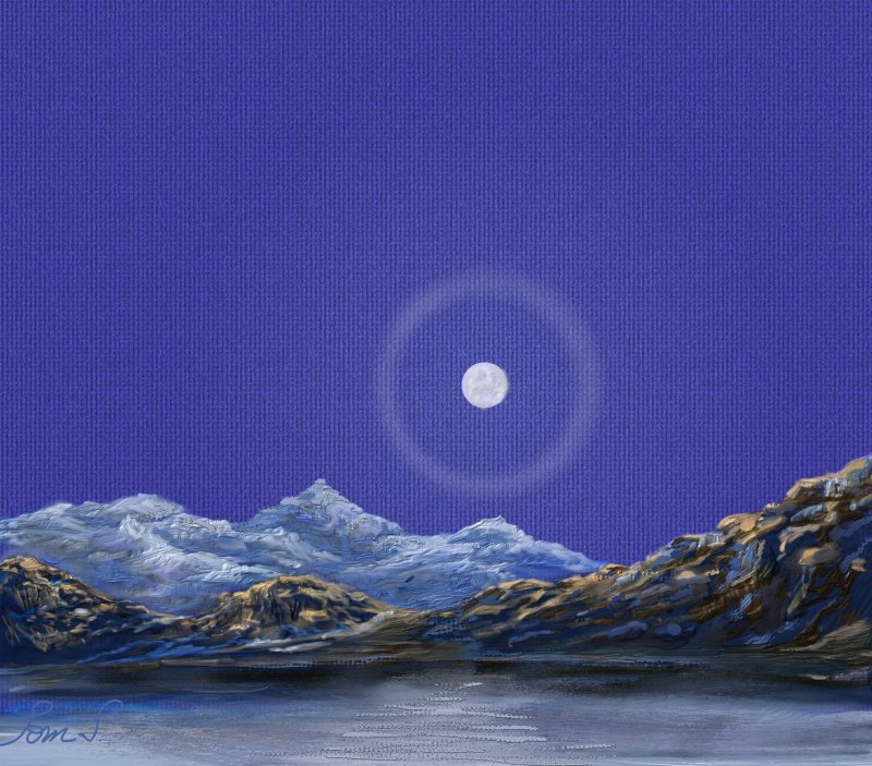 Winter_004.jpg