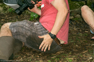 Andrew_photo_butt_DSC04351.jpg