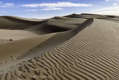 Tracks in the Sand