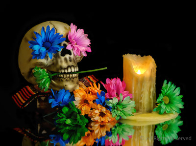 Day of the Dead