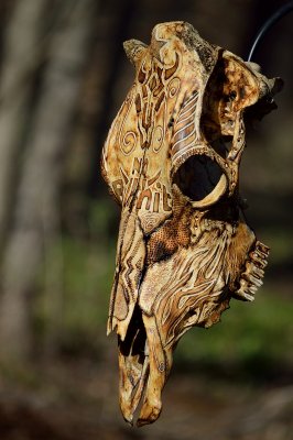 Cow skull carve/pyro #1