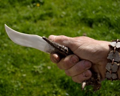 Antler with cow bone blade