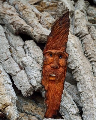 Cottonwood bark wood spirit