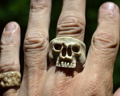 Antler skull ring #1