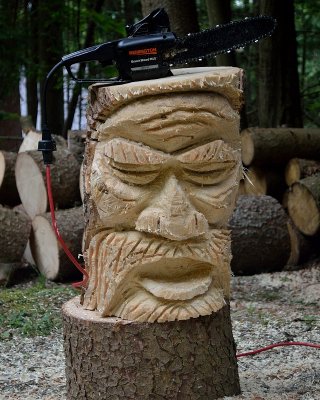1st chainsaw carve