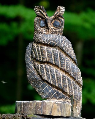 Chainsaw owl