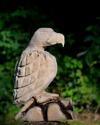 Chainsaw eagle in progress