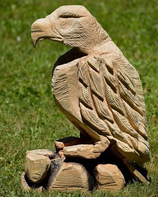 Eagle progress- phase2