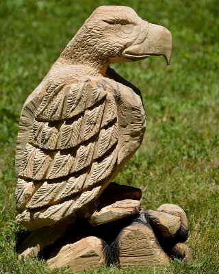 Eagle progress- phase2