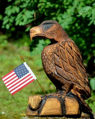 Eagle completed