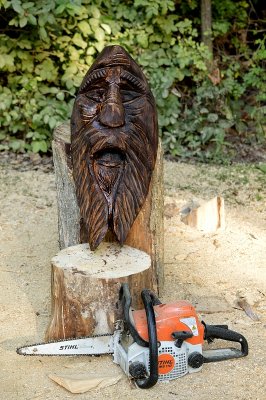 1/2 log face birdhouse beginning