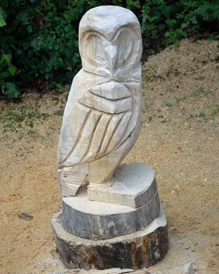 Owl #2 roughed out