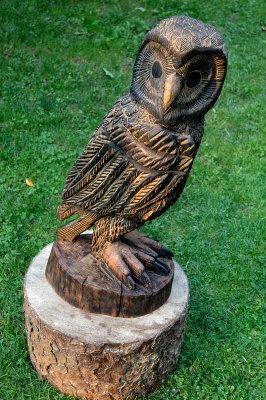 Owl #2