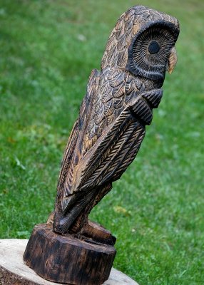 Owl #2
