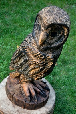 Owl #2