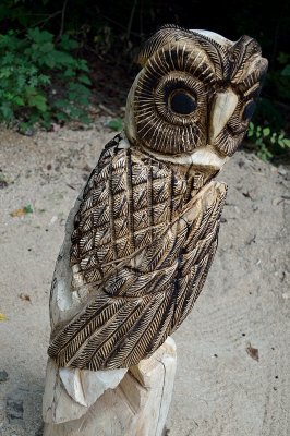 Owl #3- burning in carved feathers