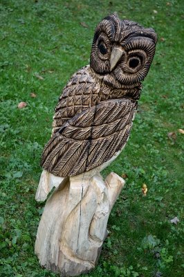 Owl #3