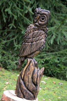 Owl #3 complete