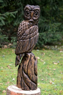 Owl #3 complete