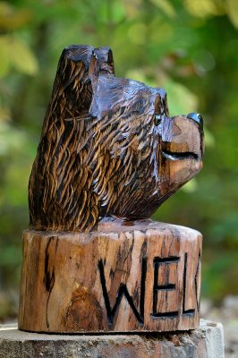 Welcome bear head