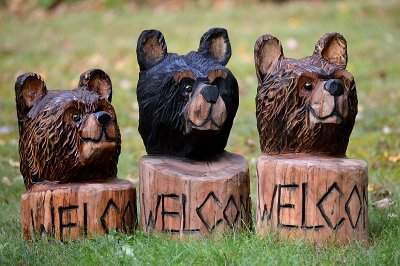 3 welcome bear heads
