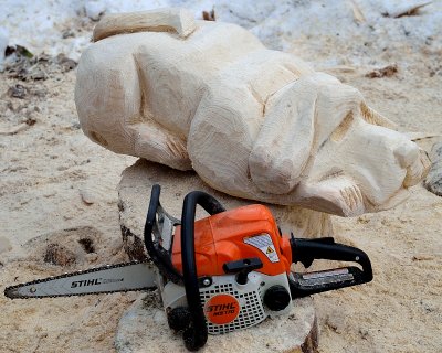 saw dog 2