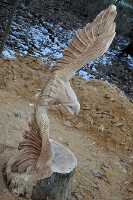 Soaring eagle saw carve
