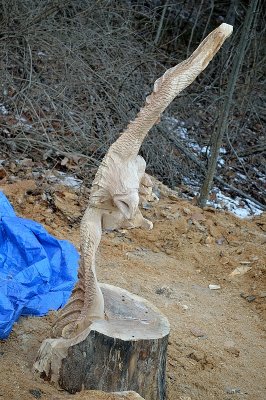 Soaring eagle saw carve