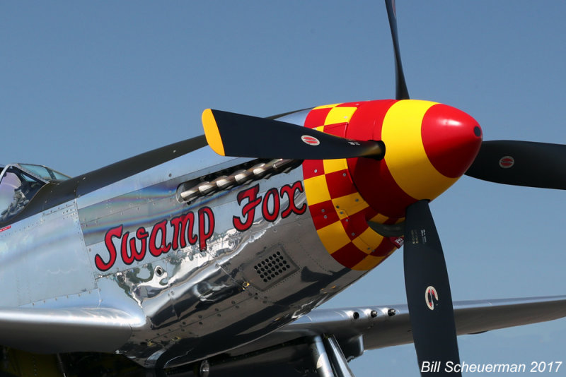 P-51 Swamp Fox