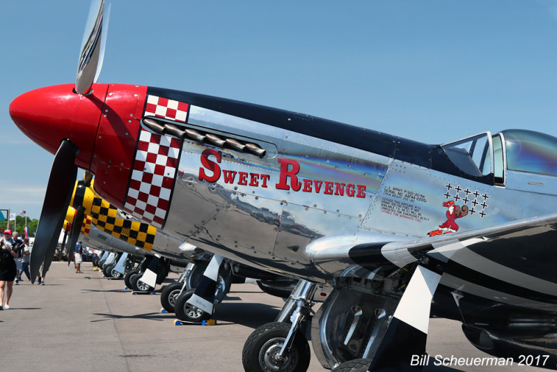 P-51 Sweet Revenge