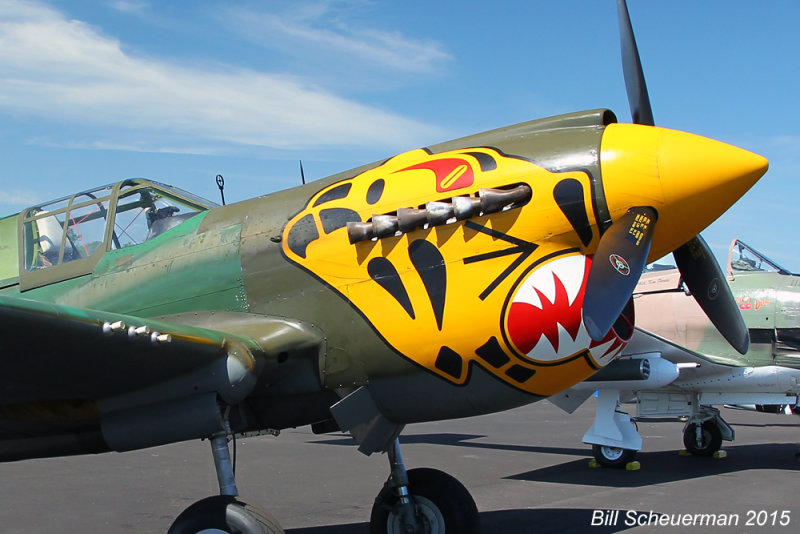 P-40K Aleutain Tiger Warhawk