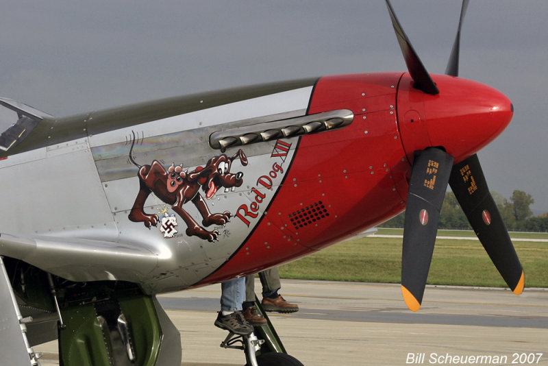 P-51 Red Dog XII