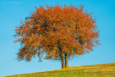 Landschaften und Natur