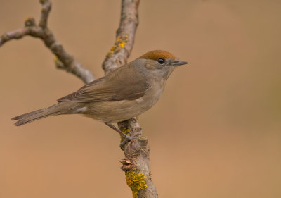 DSC_2317.jpg