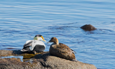 DSC_3447.jpg