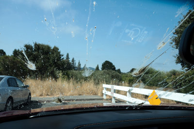 Birds Pooped on My Car