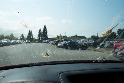 Birds Pooped on My Car