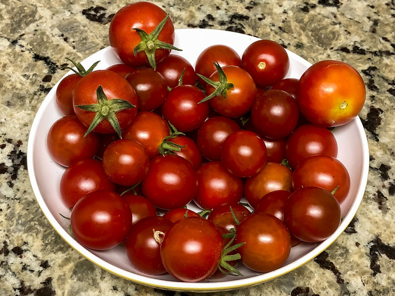 9/26/2018  Tomatoes