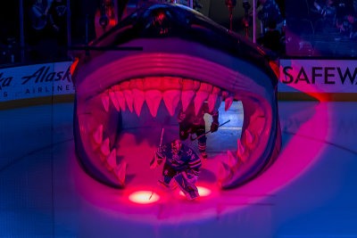Calgary Flames vs San Jose Sharks - April 8, 2017