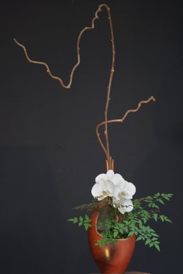 FS1735.jpg