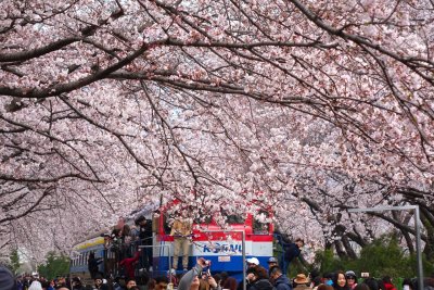 Seoul26.jpg