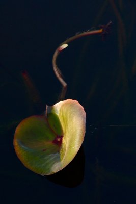 TC03.jpg