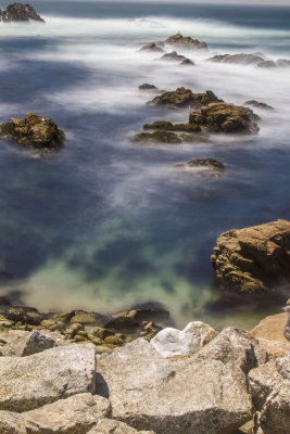 ex misty ocean see kelp rocks _MG_8342.jpg