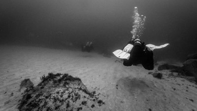 Finning over the sand bar