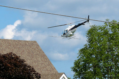 g10/16/721416/3/165754557.xLFuWE1U.jpg